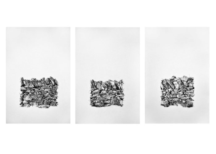 Xerolithia Triptych, drawings. Graphite on Arches Paper, by artist Neva Bergemann