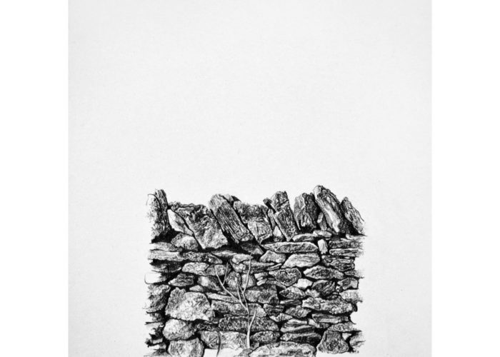 Xerolithia 1, drawing. Graphite on Arches Paper, by artist Neva Bergemann